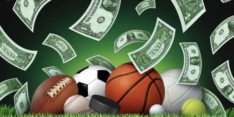 DR88 thể thao hợp tác cùng nhiều đơn vị hàng đầu