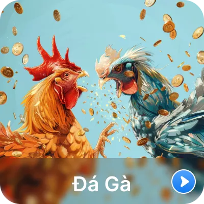 Đá gà